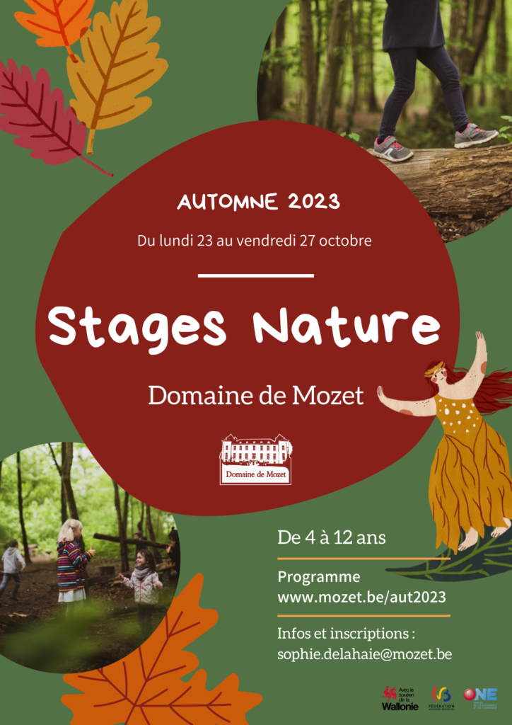 affiche stages automne 2023